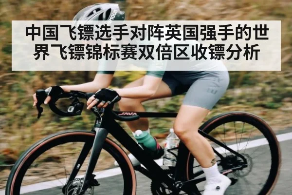 中国飞镖选手对阵英国强手的世界飞镖锦标赛双倍区收镖分析 - kaiyun